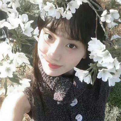 破产姐妹第六季